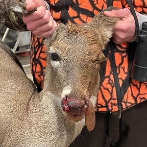 Meet your Posher, Jackson